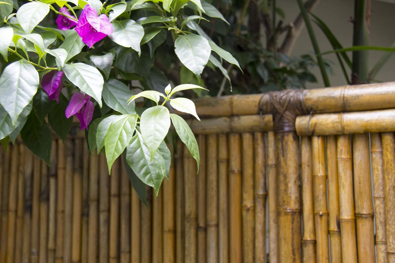 Casa Clara Paraty Exteriér fotografie